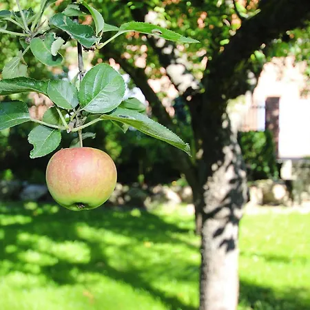 Semesterbostad Rosenhof, *