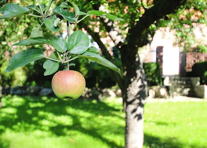 بيت للعطل Rosenhof, *